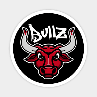Chicago Bulls Magnet